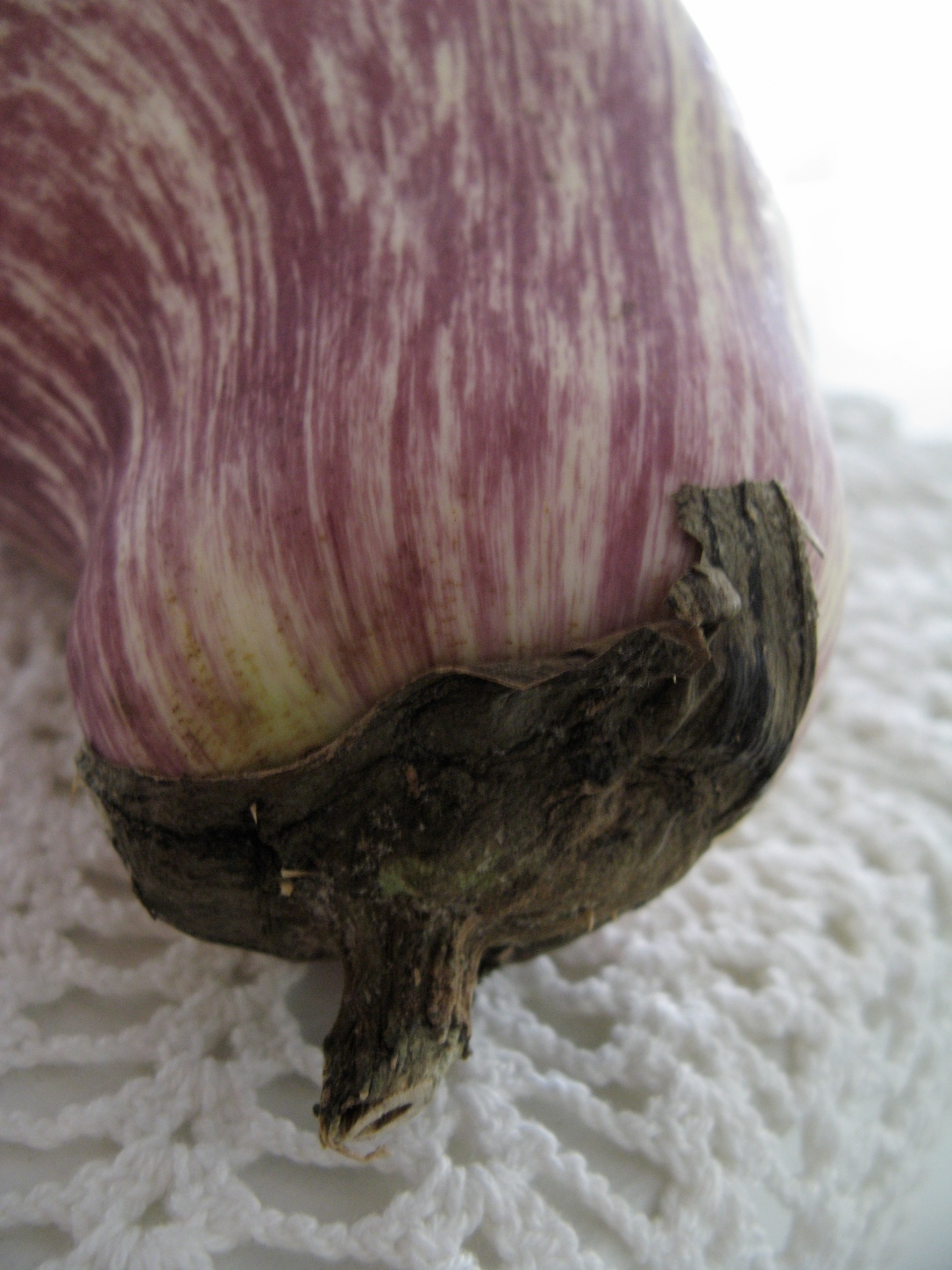 striped eggplant