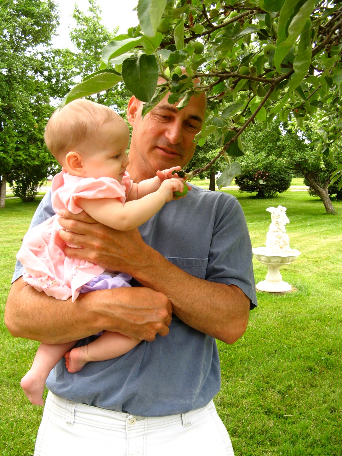 Great Uncle Chet holding Aveline, letting her pick a young apple off a tree in Caspian Michigan