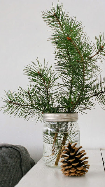 Nora Lill on Oaxacaborn's MONDAY’S PRETTY THINGS :: Decorating with Christmas Tree Branches