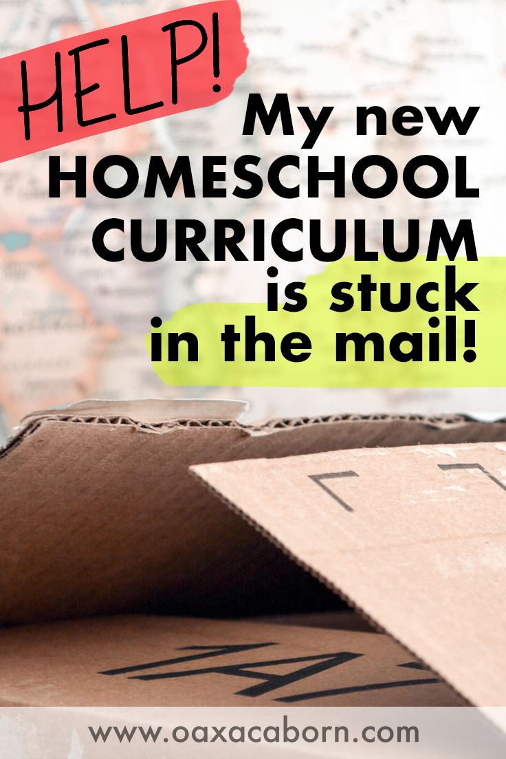 How do I homeschool if my curriculum is late or delayed? PIN IMAGE
