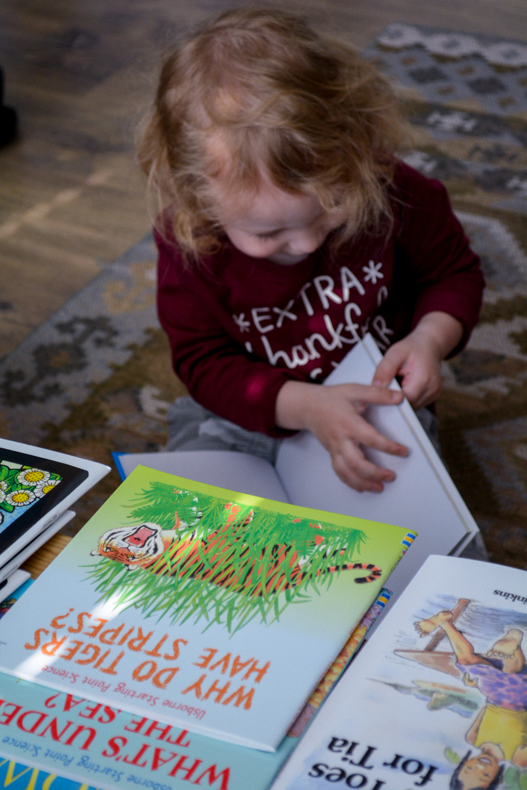 Sonlight Pre-Kindergarten Review: NEW Pre-K at Home with Montessori Updates